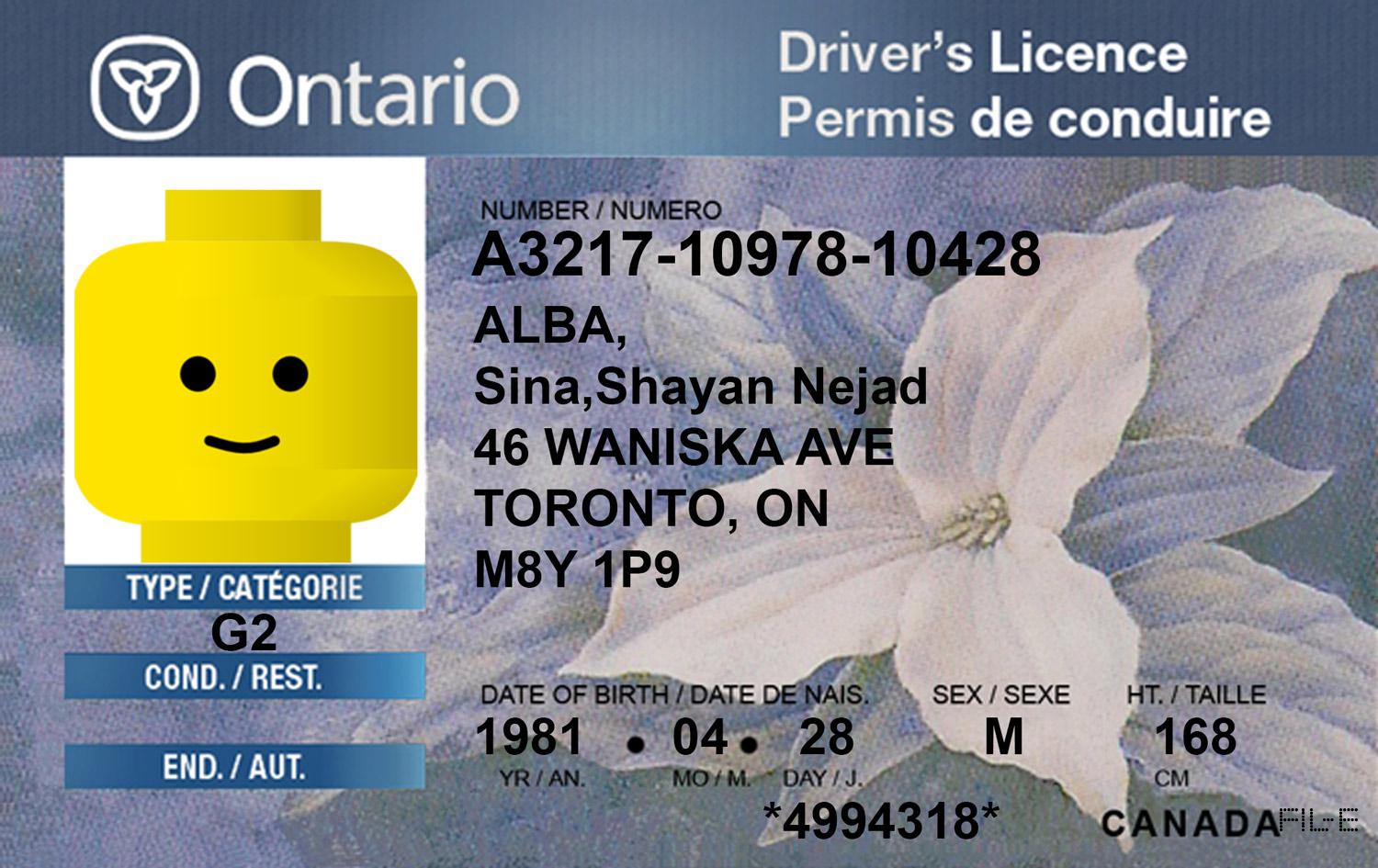 دانلود فایل لایه باز گواهینامه رانندگی انتاریو ، کانادا / Canada , Ontario Driver Licence